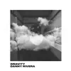 Danny Rivera - Gravity - Single